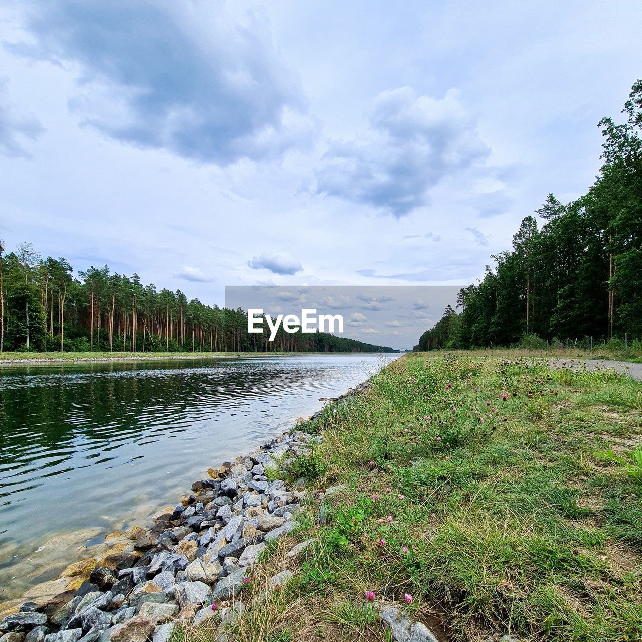 water, sky, river, plant, cloud, body of water, nature, tree, shore, land, scenics - nature, beauty in nature, environment, landscape, tranquility, no people, reservoir, tranquil scene, forest, grass, beach, non-urban scene, day, travel destinations, travel, outdoors, coniferous tree, green, waterway, pinaceae, coast, tourism, wilderness, reflection, pine tree, stream, rock, idyllic
