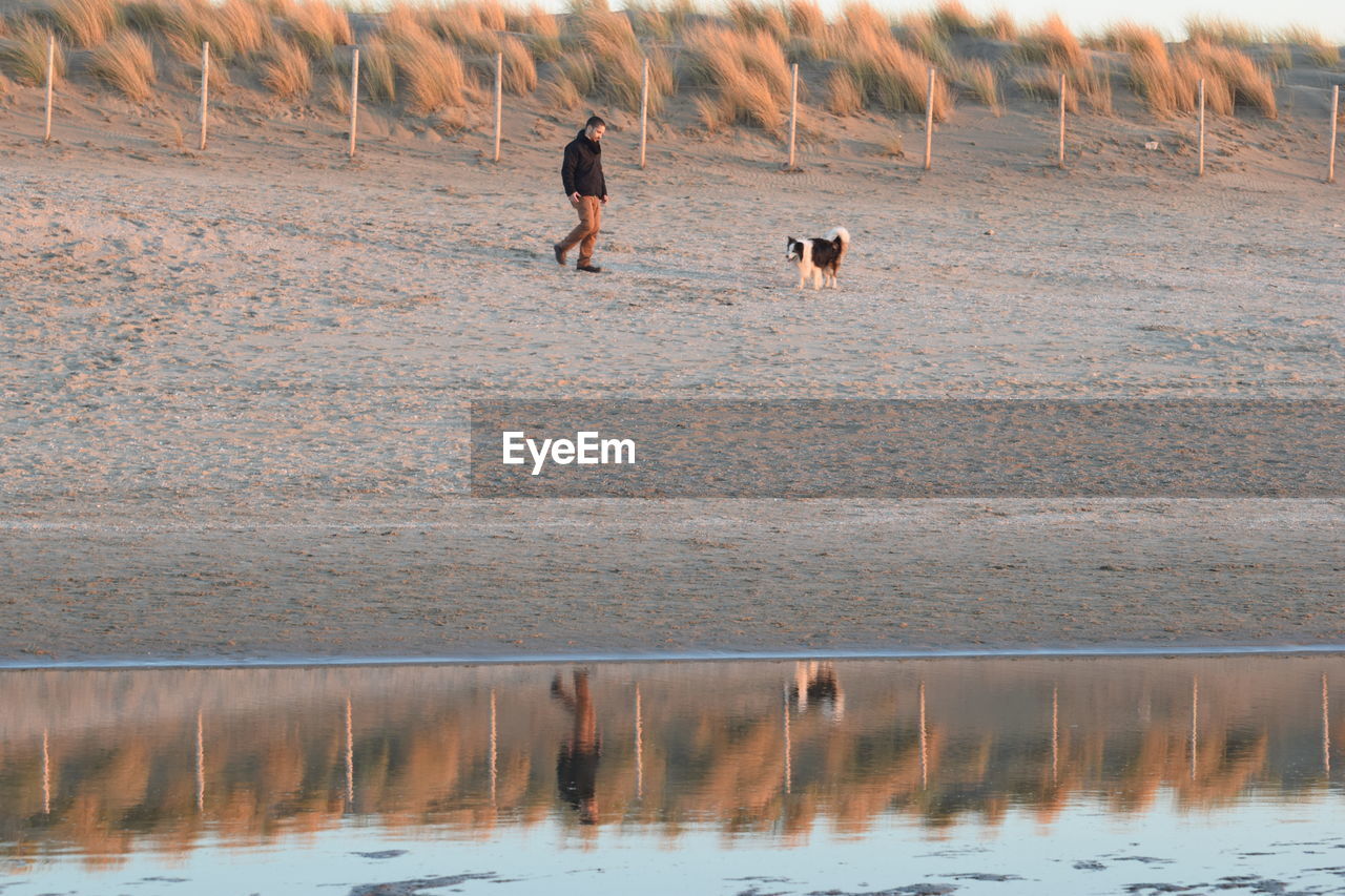 Man with dog walking at sandy beach