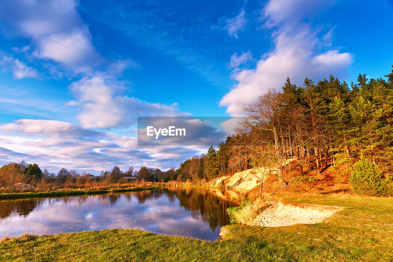 scenic view of lake by trees against sky