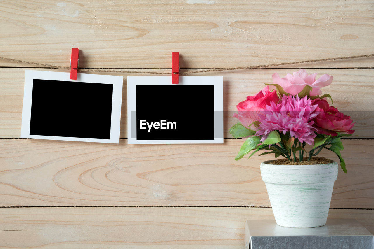 Instant print transfers hanging against wall with flowering plant on table