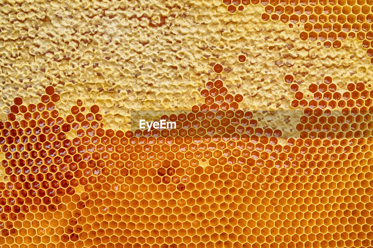 FULL FRAME SHOT OF BUBBLES IN GLASS