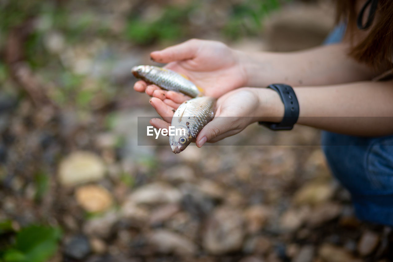 hand, one person, holding, animal, nature, women, adult, animal themes, day, soil, childhood, outdoors, child, one animal, animal wildlife, food, focus on foreground, dirt, environment, close-up, food and drink, side view, female, land, plant