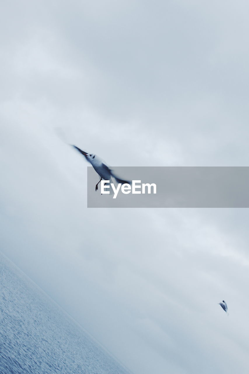 Tilt image of birds flying over sea against cloudy sky