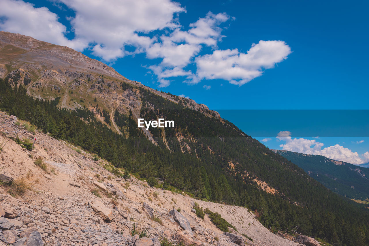 sky, mountain, environment, landscape, scenics - nature, cloud, beauty in nature, nature, land, mountain range, pinaceae, pine tree, travel, coniferous tree, travel destinations, plant, tree, pine woodland, blue, wilderness, forest, tourism, no people, ridge, rock, mountain peak, non-urban scene, valley, outdoors, activity, tranquility, leisure activity, summer, tranquil scene, social issues, plateau, snow, mountain pass, environmental conservation, idyllic, adventure, animal wildlife, vacation, grass, cloudscape, holiday, trip, day, walking, winter, cold temperature, rural scene, sunlight