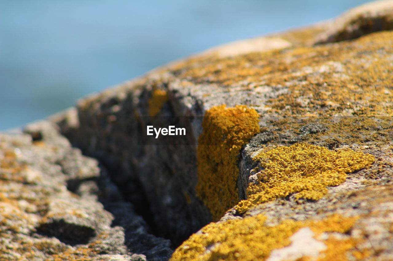 CLOSE-UP OF WATER ON ROCK AGAINST SEA