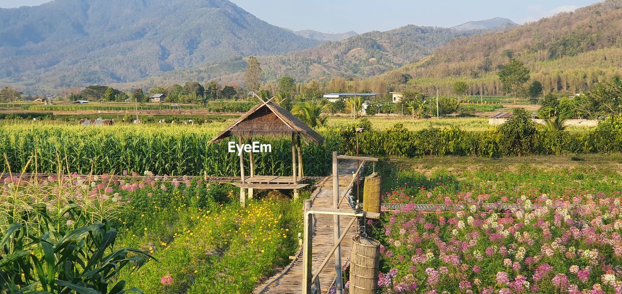 scenic view of field and mountains against sky