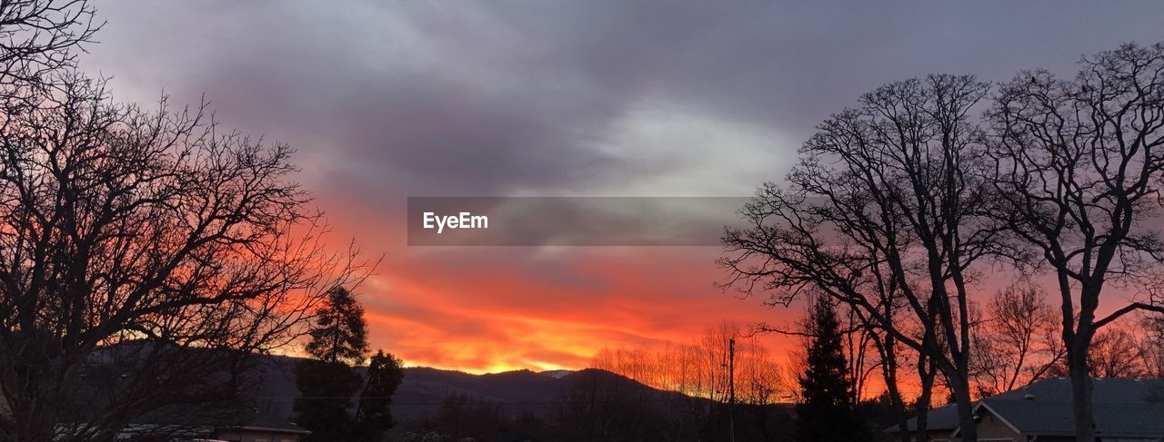 Silhouette bare trees against sky during sunset