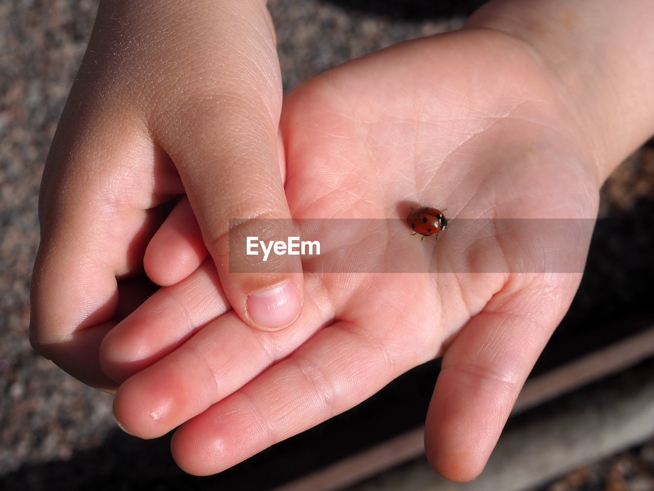 CLOSE-UP OF PERSON HAND ON SMALL