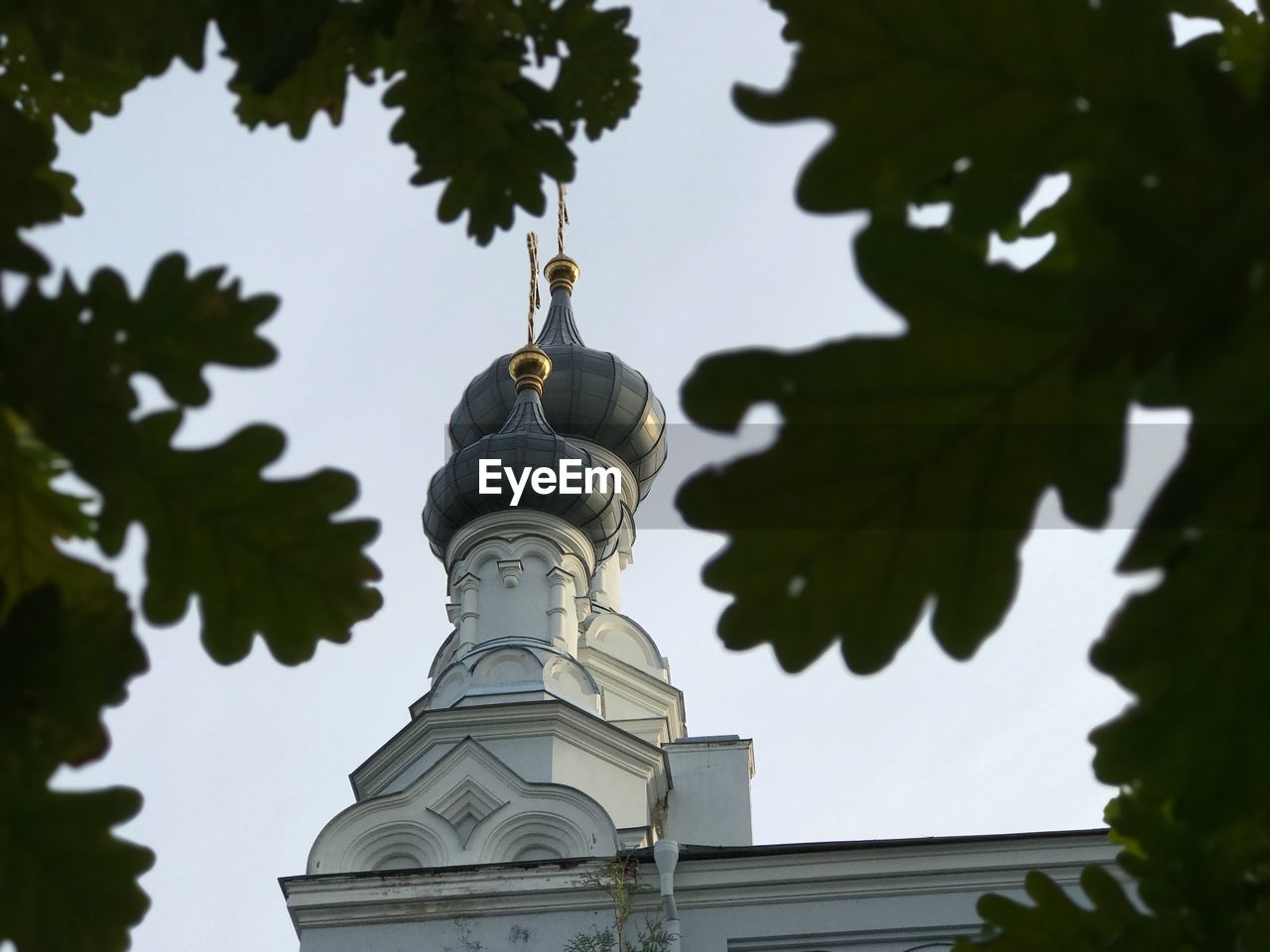 LOW ANGLE VIEW OF A BUILDING WITH TREES AGAINST SKY