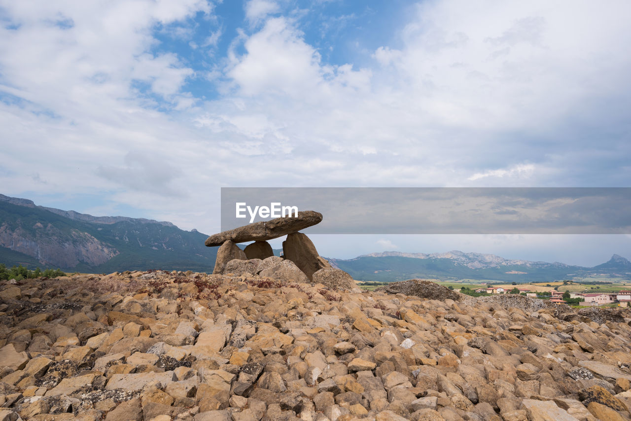 VIEW OF LIZARD ON ROCK