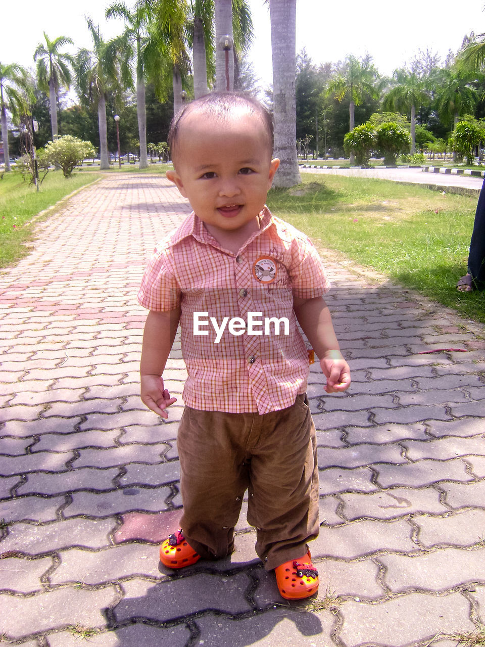 Portrait of baby boy standing on street at park
