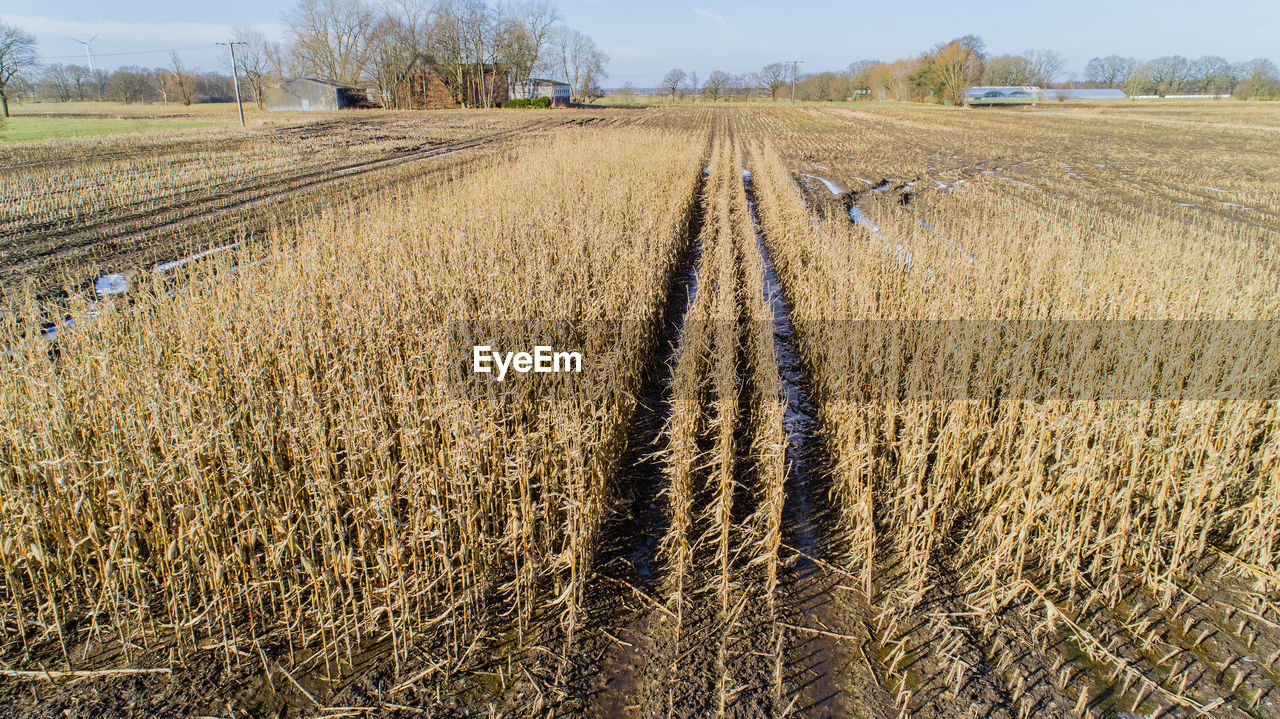 Hay bales on field against sky