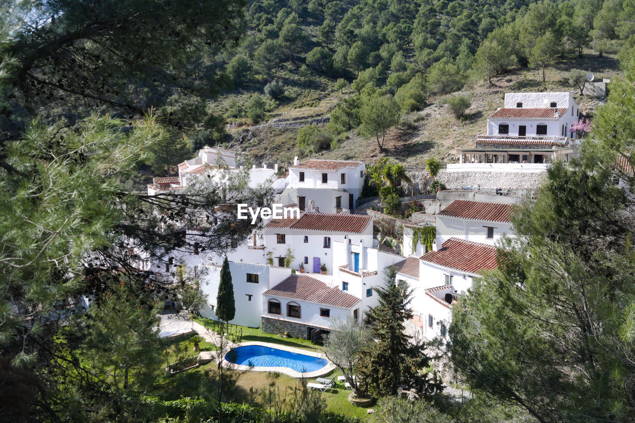 HIGH ANGLE VIEW OF TOWNSCAPE BY TREES AND PLANTS