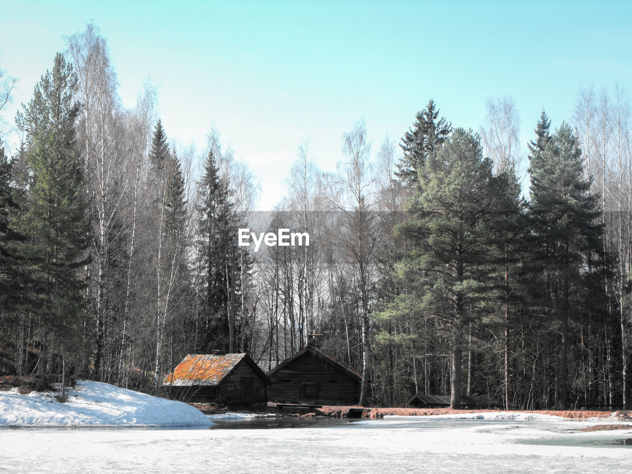 SNOW COVERED TREES AND HOUSES AGAINST SKY