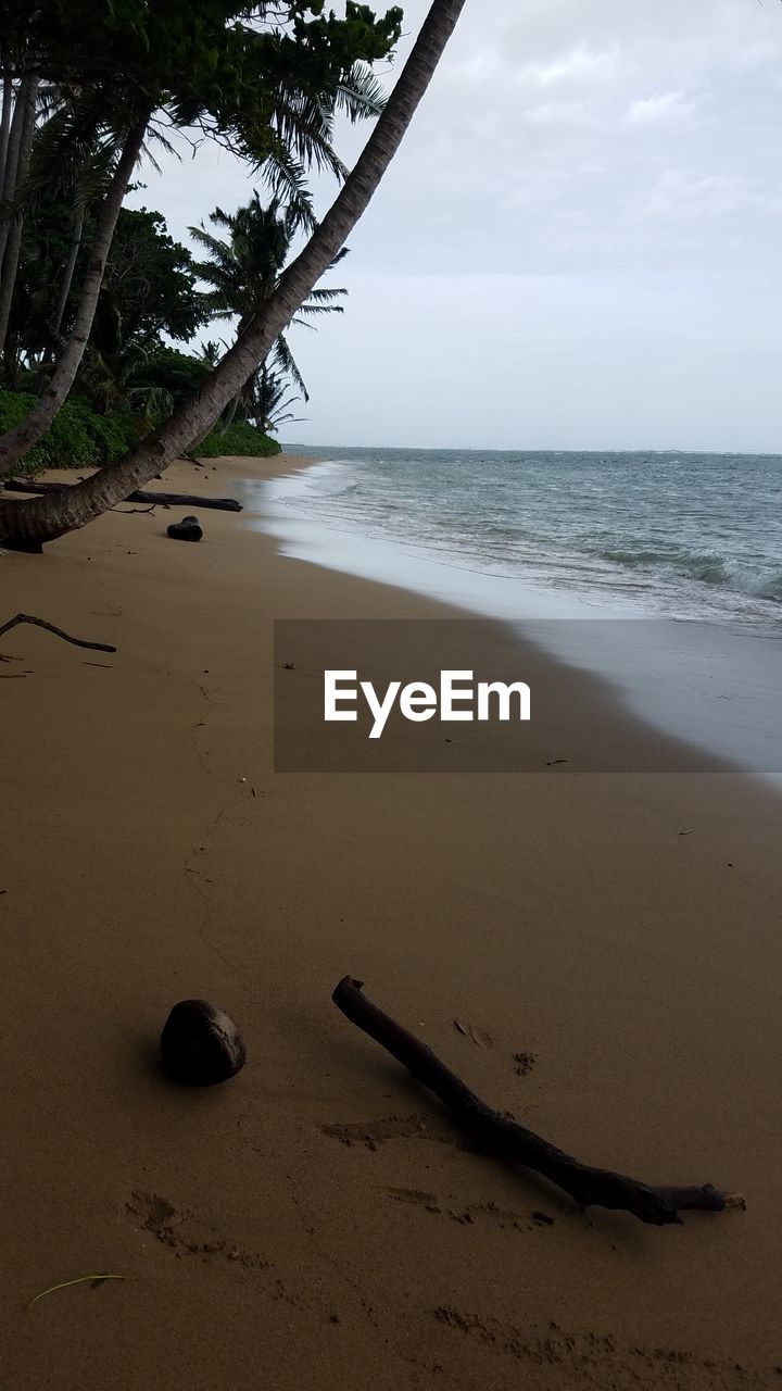 SCENIC VIEW OF BEACH