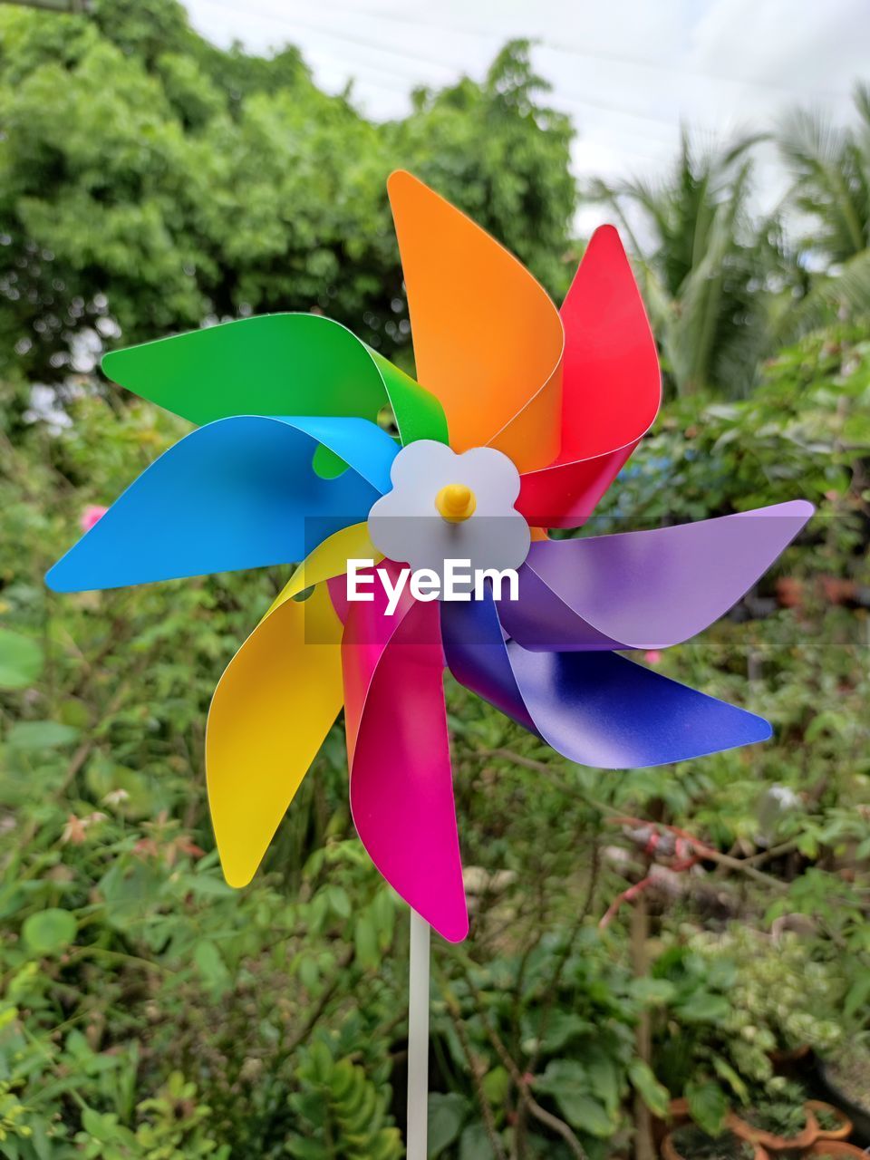 flower, pinwheel toy, multi colored, plant, wheel, nature, windmill, no people, environmental conservation, day, environment, focus on foreground, toy, outdoors, close-up, creativity, blue, tree, turbine, paper, land