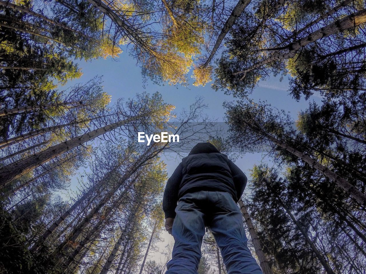 Low section of man standing amongst tree against sky