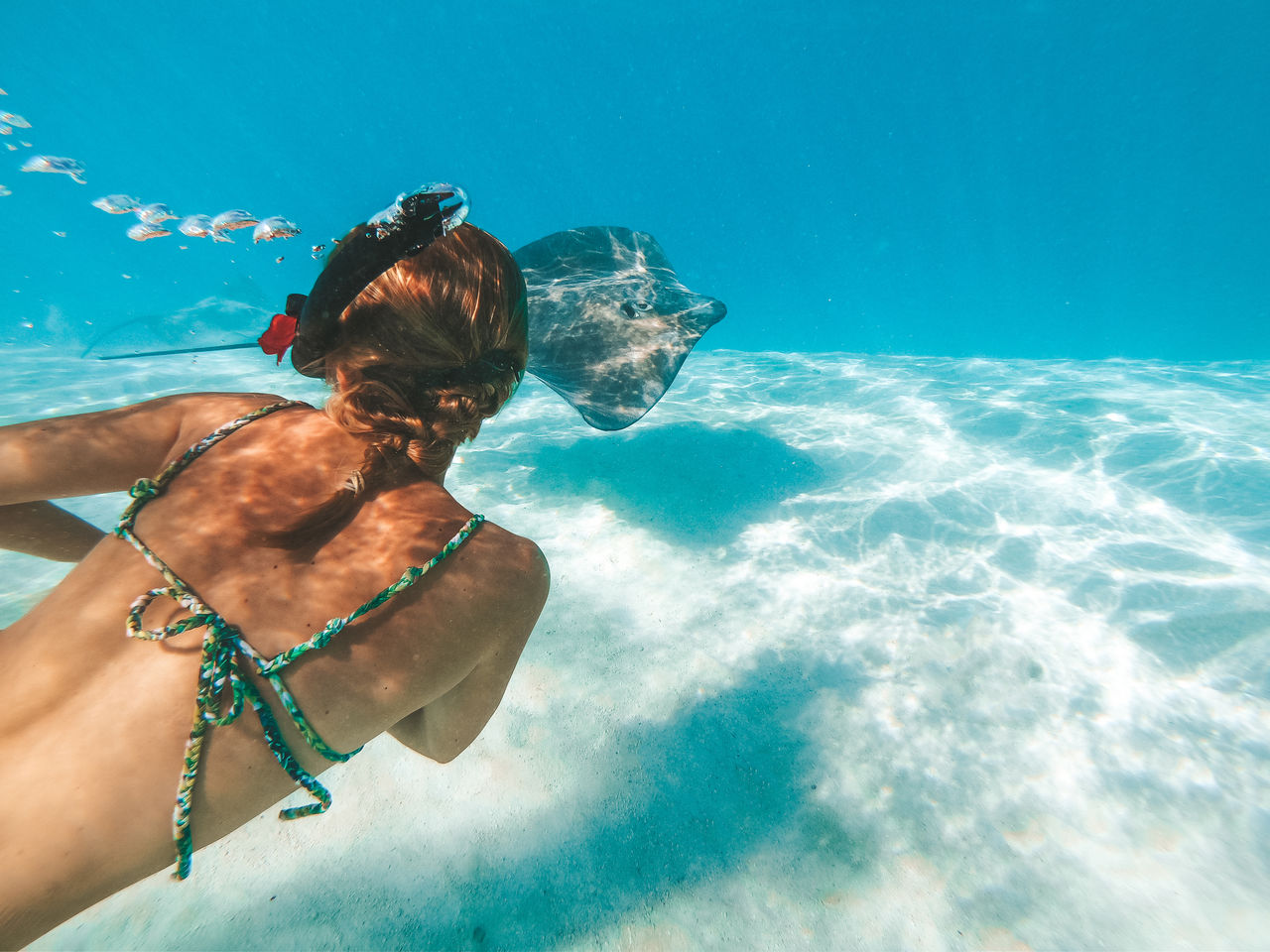Rear view of woman swimming by stingray in sea