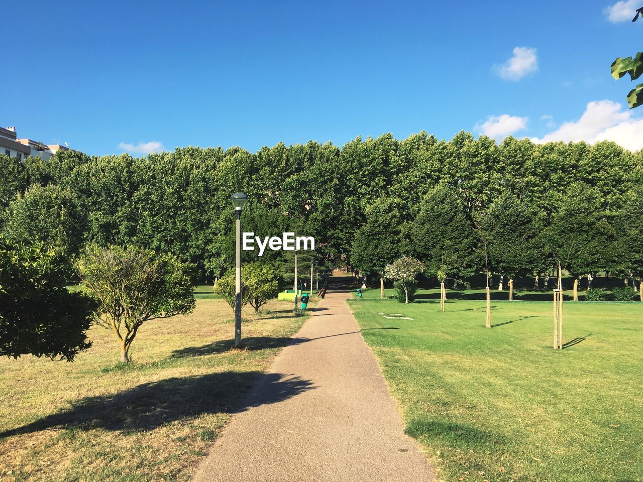 VIEW OF TREES ON FIELD AGAINST SKY