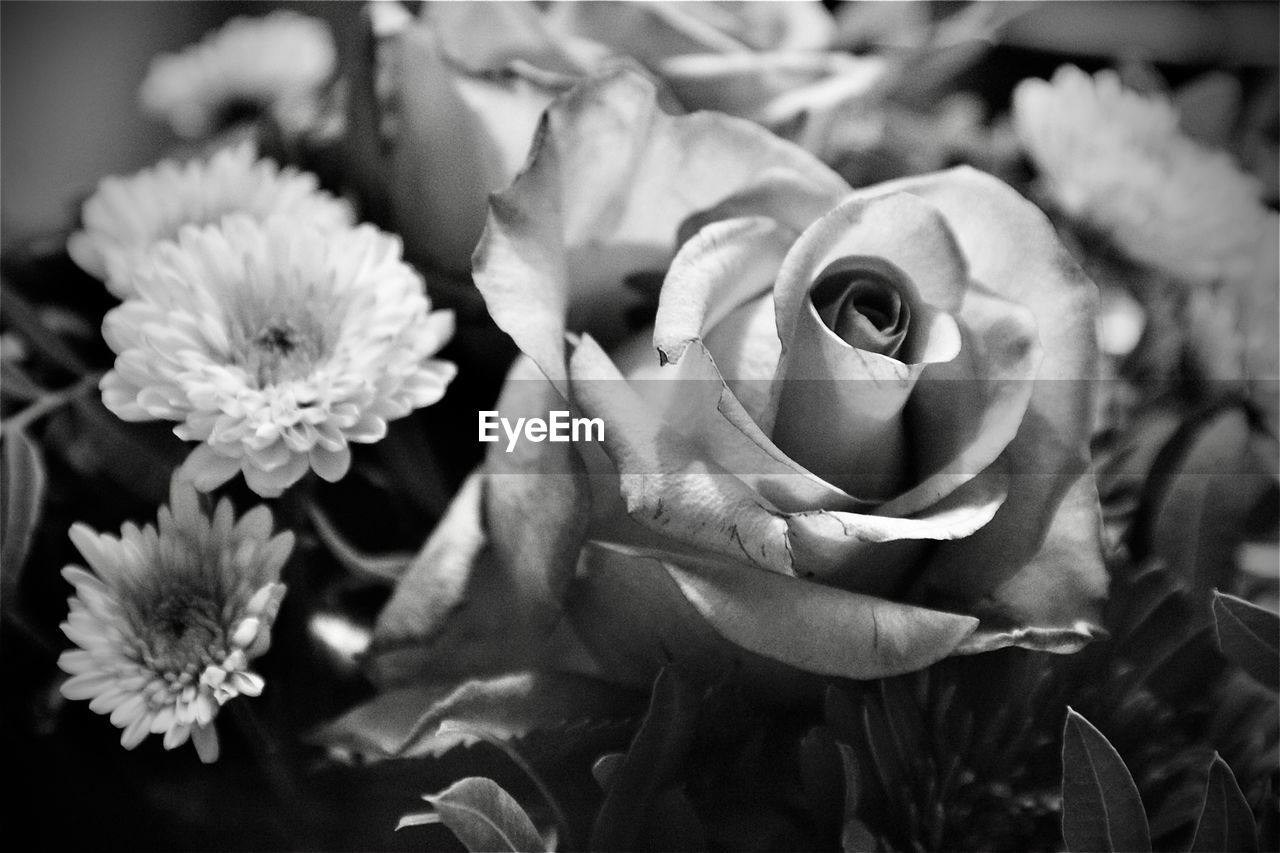 CLOSE-UP OF ROSE FLOWER BOUQUET