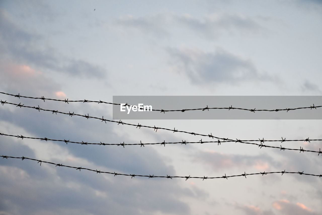 sky, cloud, wire, protection, barbed wire, security, outdoor structure, no people, fence, nature, metal, line, technology, electricity, wire fencing, outdoors, branch, warning sign, day, communication, sign, overhead power line, low angle view, home fencing, cable, sunlight, animal, blue, animal themes, forbidden