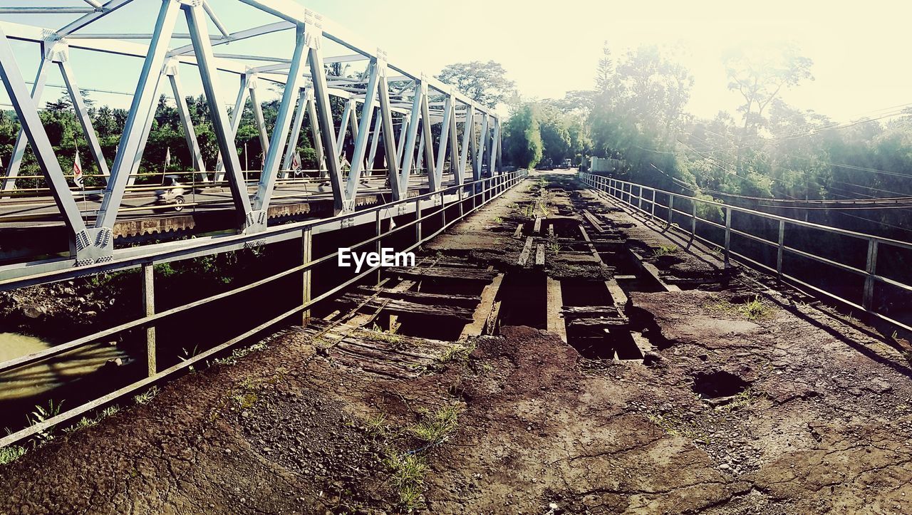 SURFACE LEVEL OF RAILROAD TRACKS AGAINST TREES