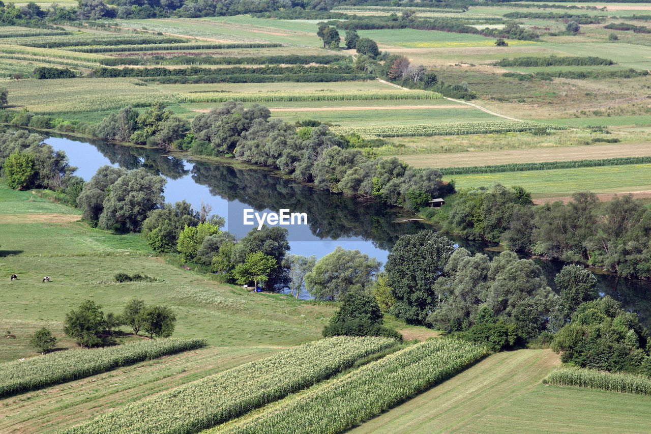 Scenic view of agricultural field