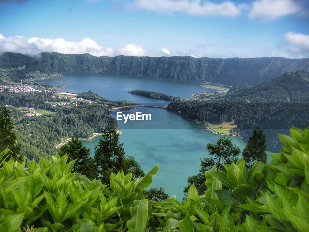 Scenic view of trees and mountains against sky