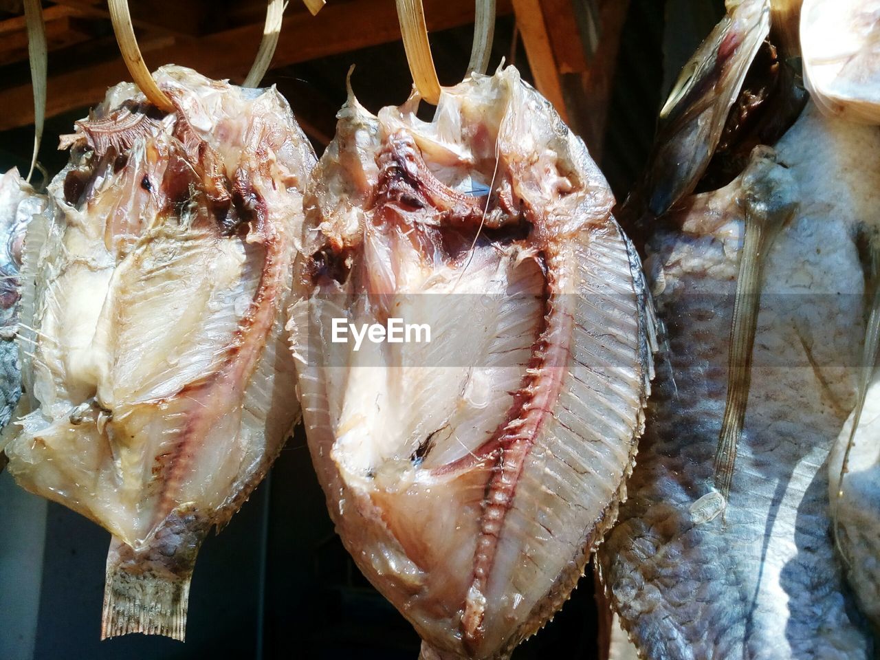 CLOSE-UP OF FISH FOR SALE AT MARKET