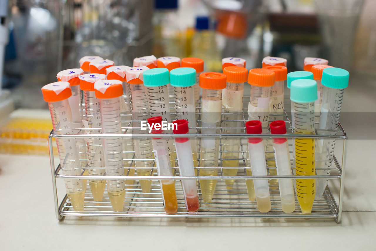 Close-up of multi colored test tubes