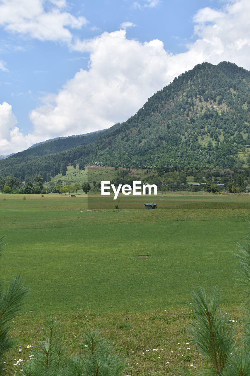 Golf course at pahalgam kashmir, india.