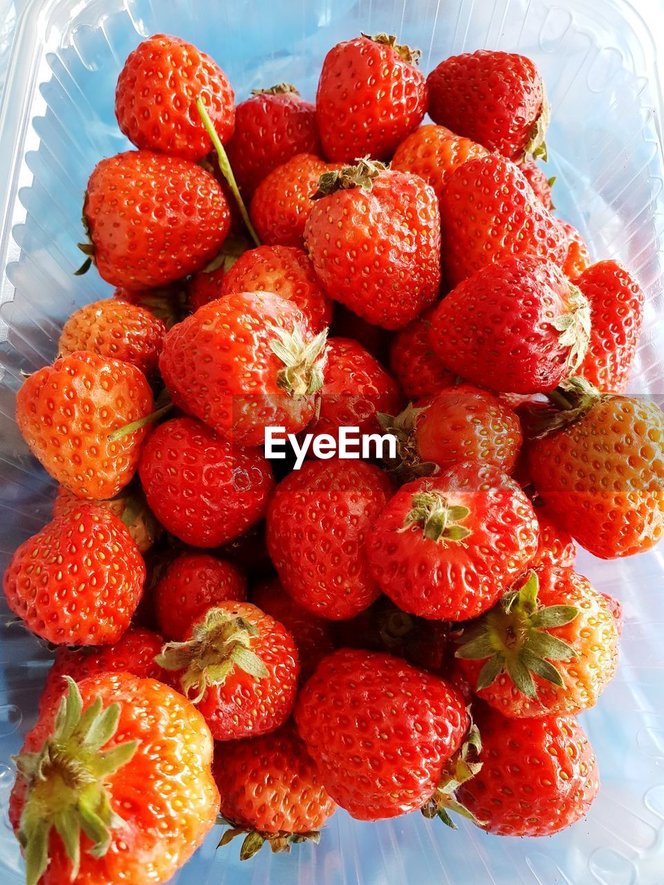 Directly above shot of strawberries in container