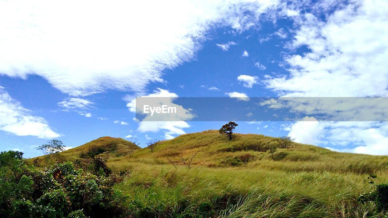 SCENIC VIEW OF LAND AND TREES AGAINST SKY