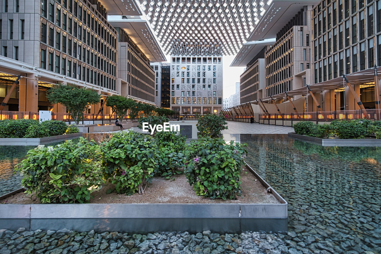 PLANTS GROWING OUTSIDE BUILDING