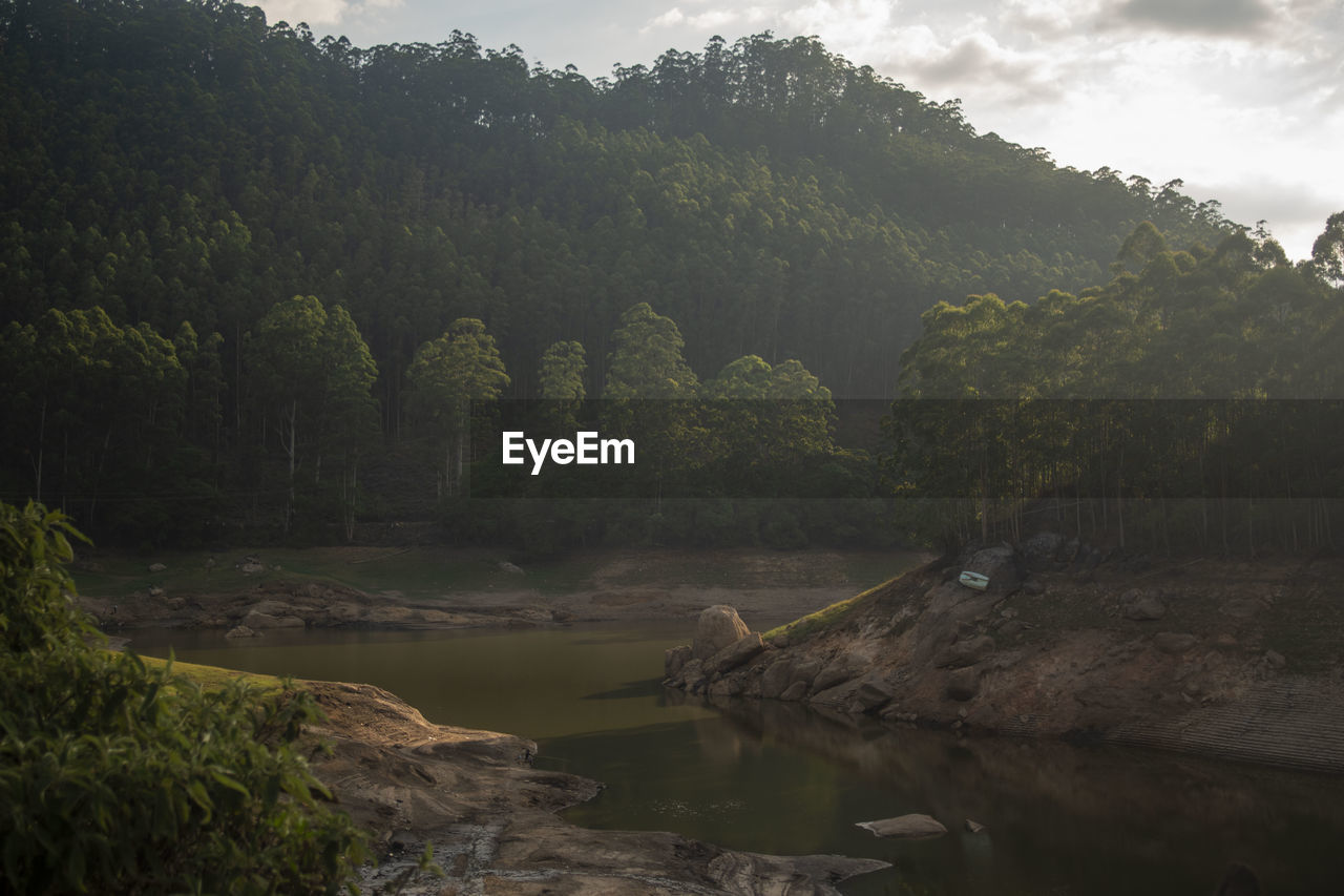 Scenic view of river in forest against sky