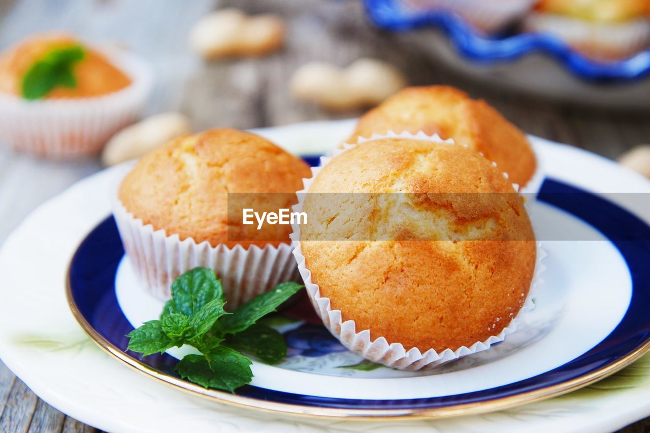 Homemade muffins with blueberries 