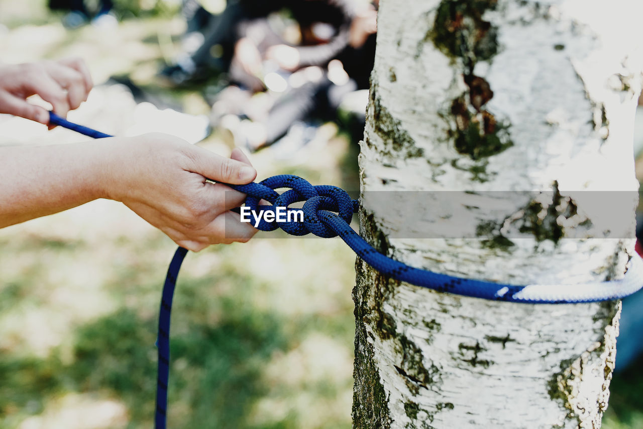 Women hands pull a strong blue rope tied to a birch tree. professional zip line or cable car