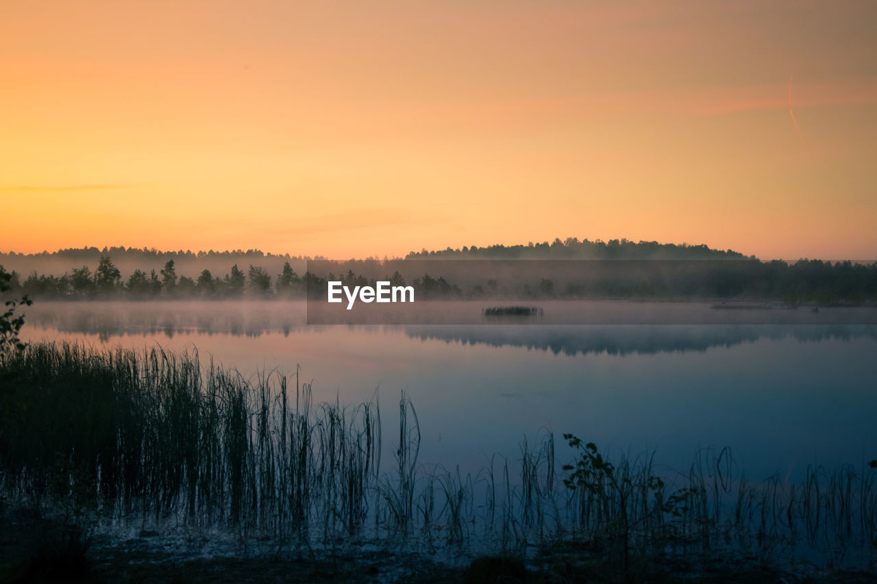 A beautiful, colorful landscape of a misty swamp during the sunrise.