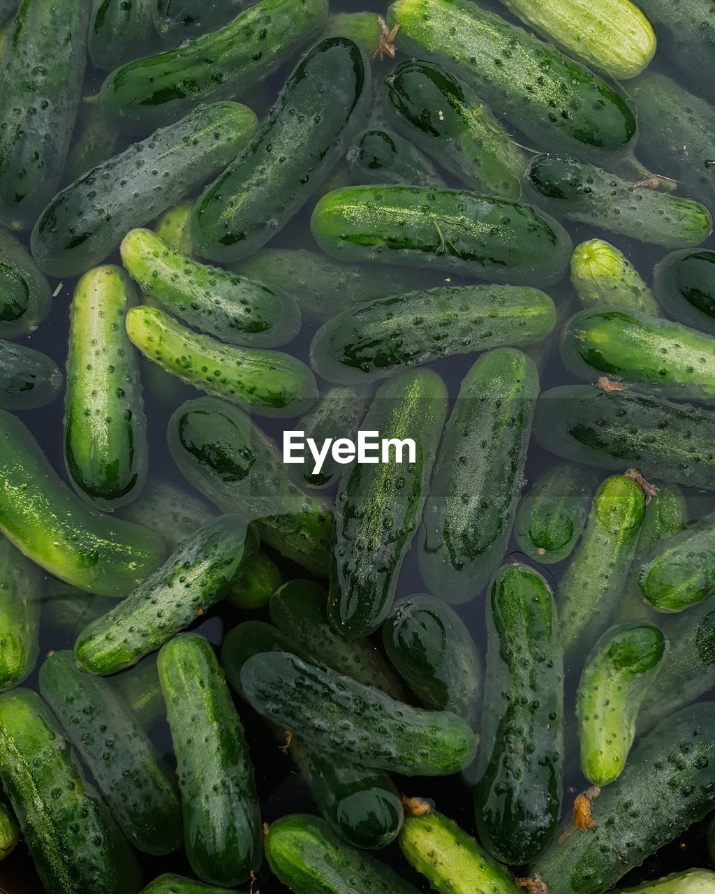 Full frame shot of cucumbers in water