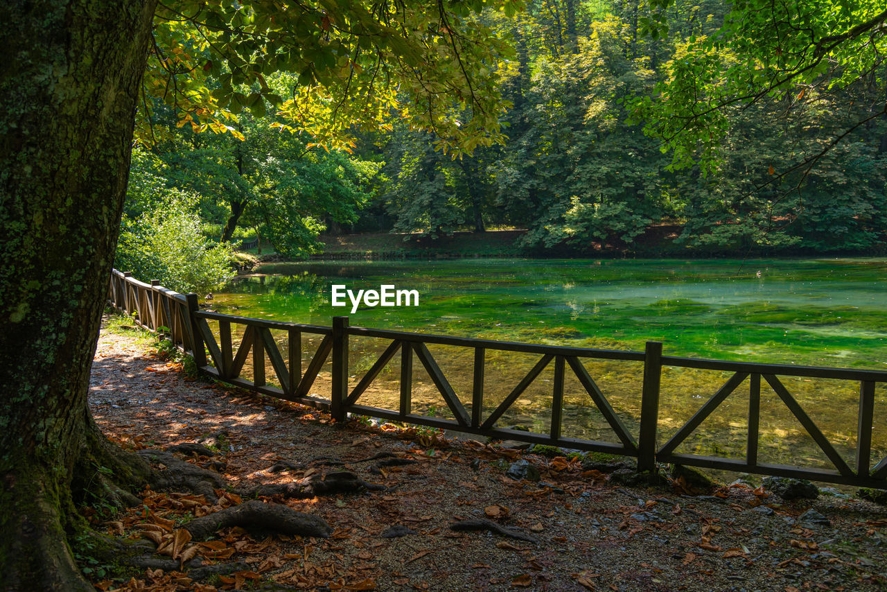 Vrelo bosne nature green park in sarajevo with water and ducks