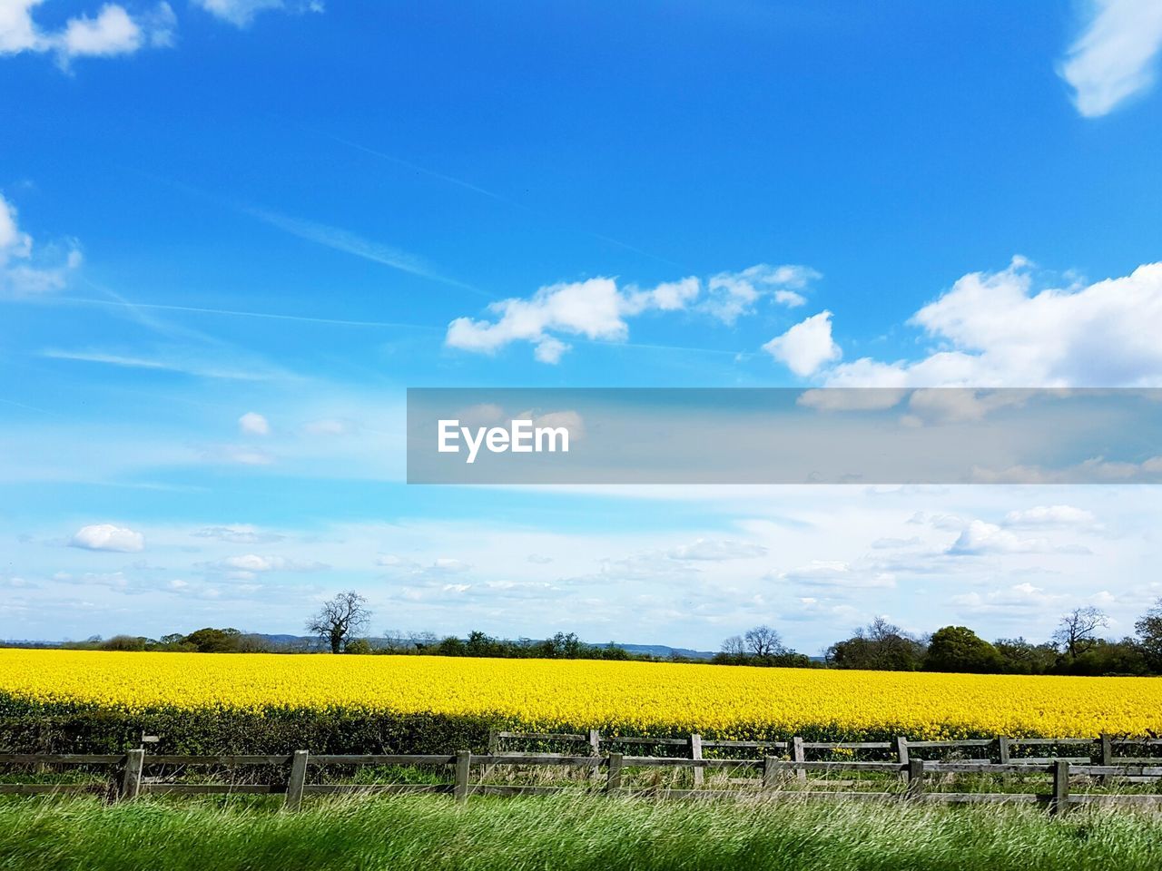 SCENIC VIEW OF FIELD AGAINST BLUE SKY