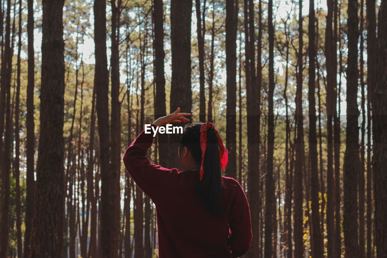 Rear view of woman standing by trees in forest