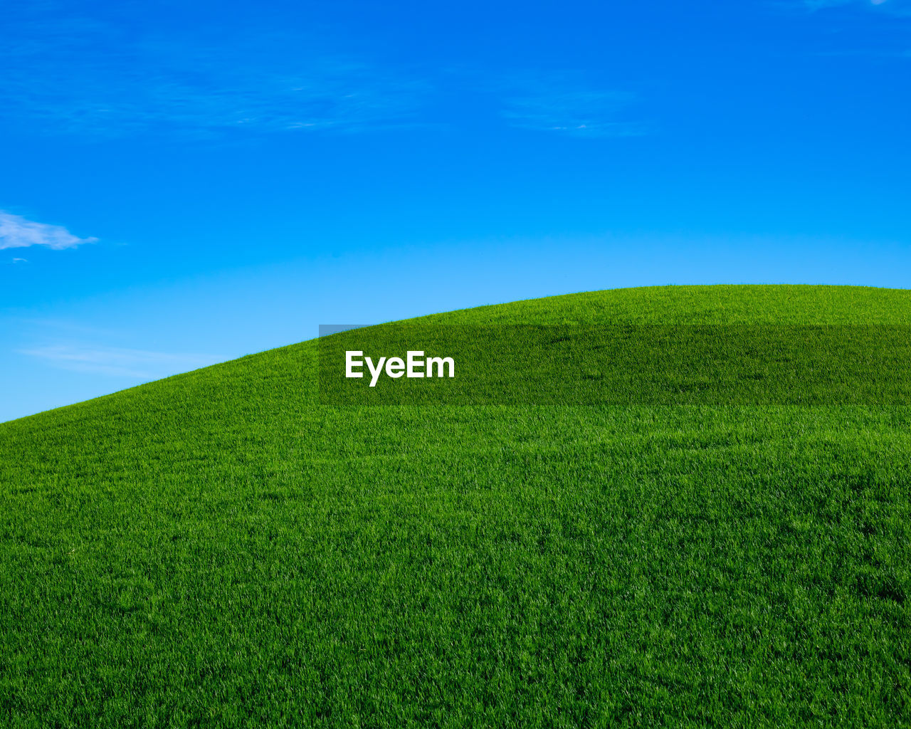 Scenic view of grassy field against blue sky