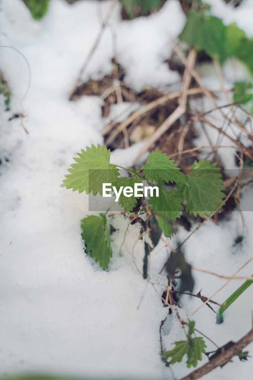 HIGH ANGLE VIEW OF SNOW ON LAND