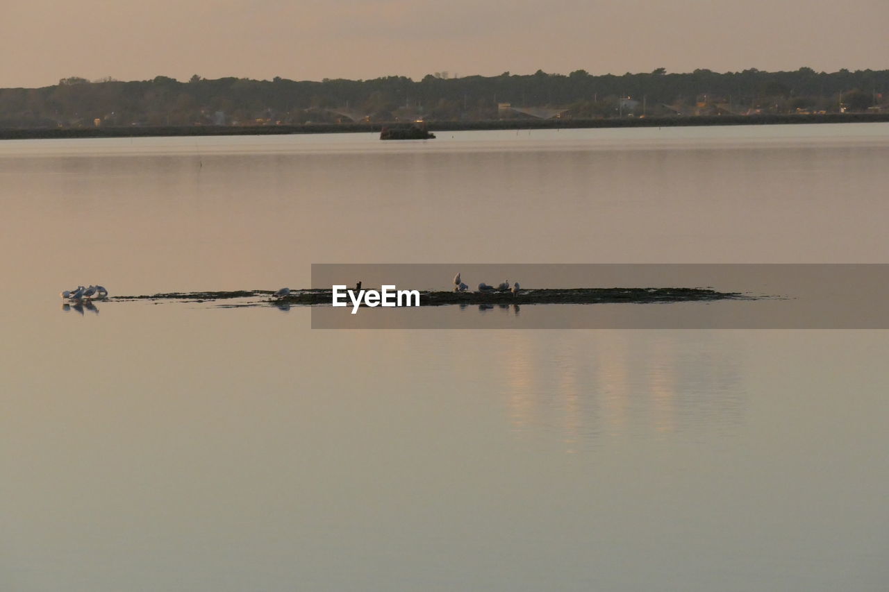 VIEW OF BOAT IN LAKE