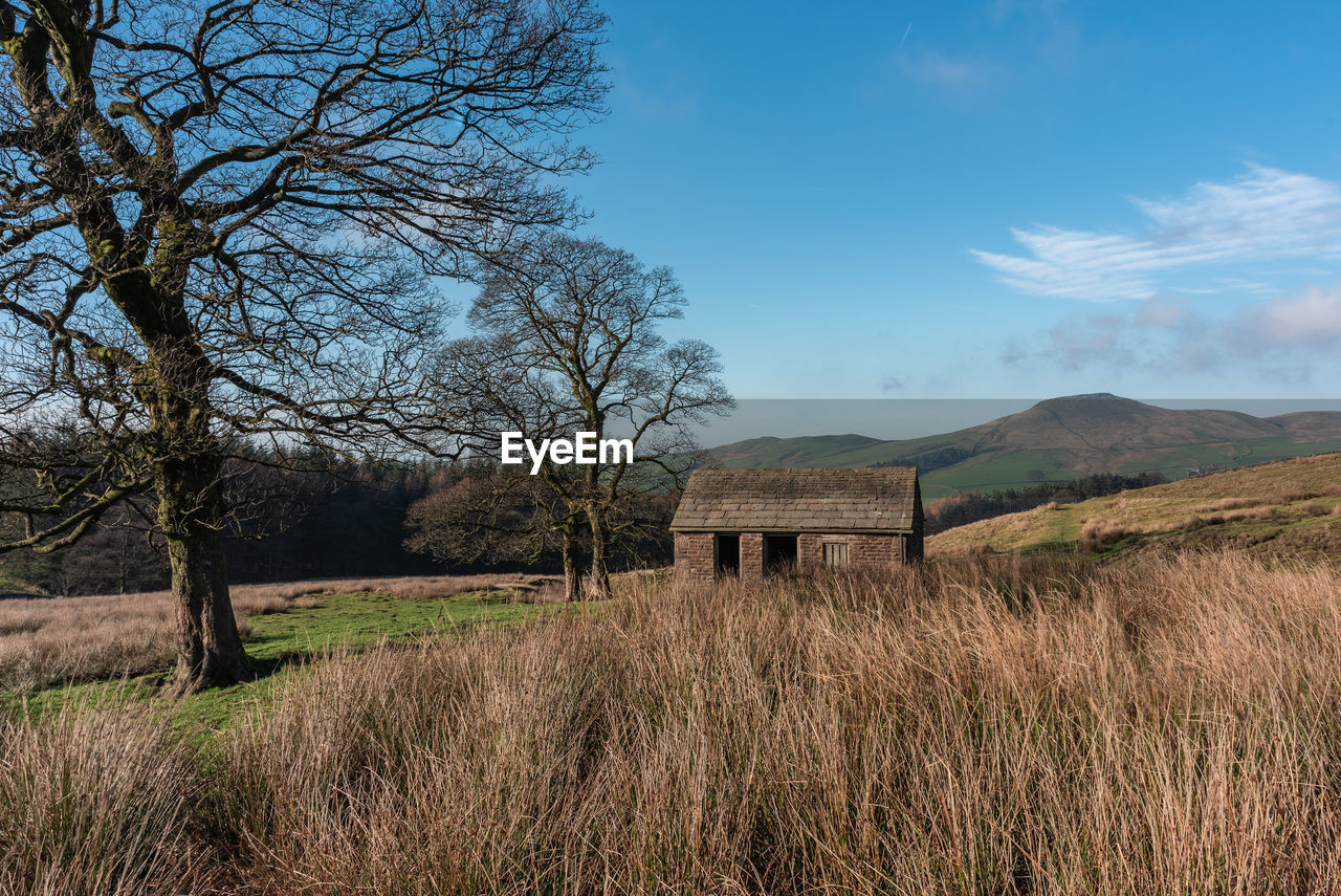 ABANDONED HOUSE ON FIELD