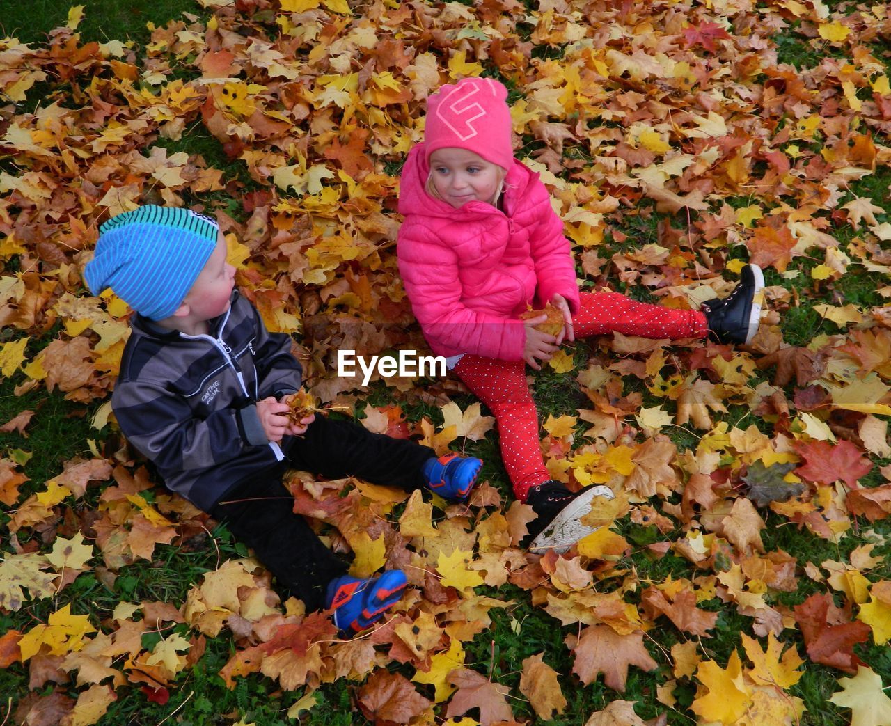 Girl and boy sitting on autumn leaves