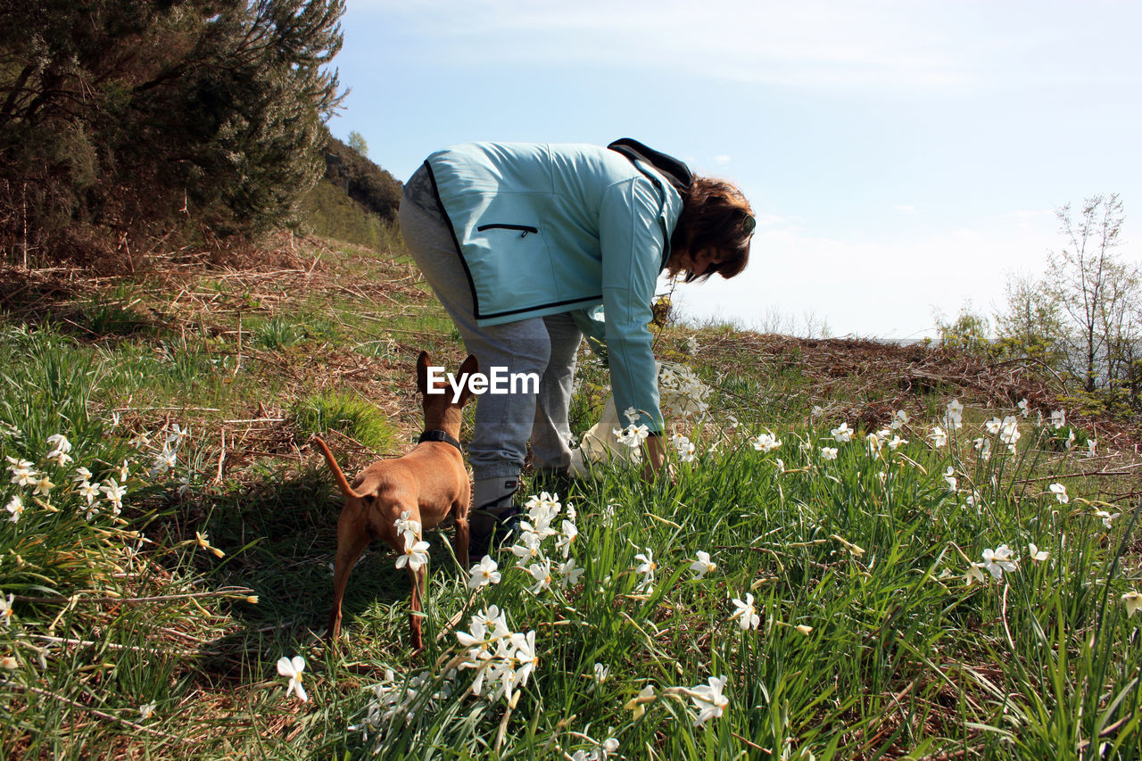 mammal, animal, animal themes, grass, domestic animals, plant, one animal, pet, dog, canine, one person, nature, flower, meadow, adult, rural area, leisure activity, field, land, sky, casual clothing, day, men, lifestyles, full length, hiking, growth, landscape, prairie, bending, outdoors, standing, beauty in nature, sunlight, mature adult, wilderness, environment, rural scene, person