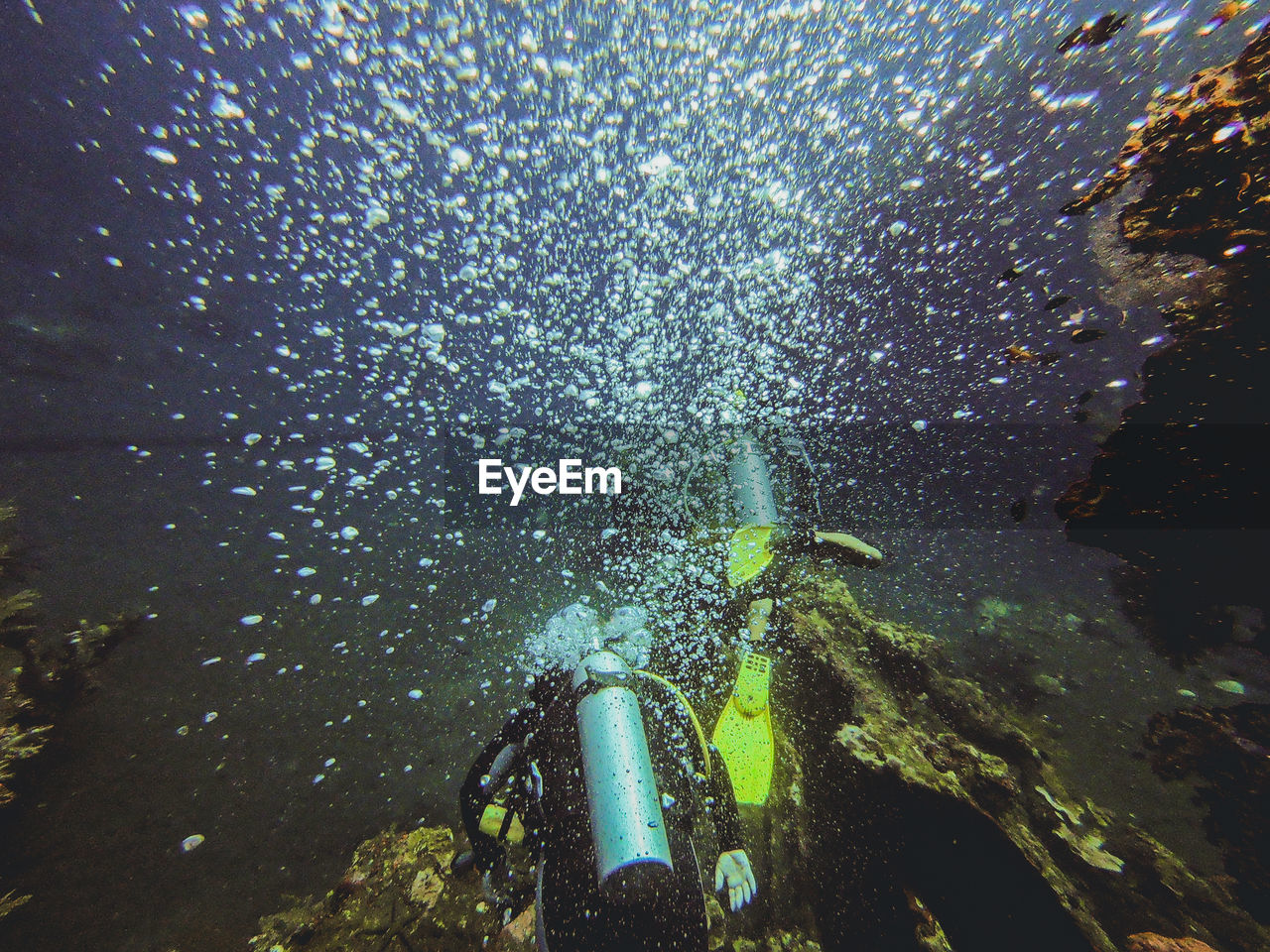 High angle view of scuba divers swimming undersea