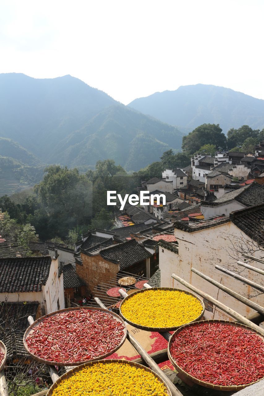HIGH ANGLE VIEW OF FOOD AGAINST CLEAR SKY